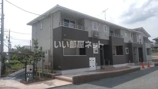 エヴァーグリーンオークの画像