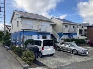 マーガレットの画像