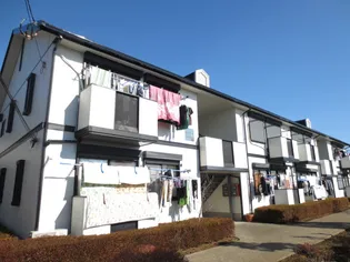 グリーンソウブBの画像