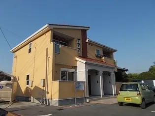 ニューレインボーの画像