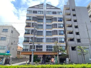大阪府大阪市阿倍野区阪南町2【マンション】の外観