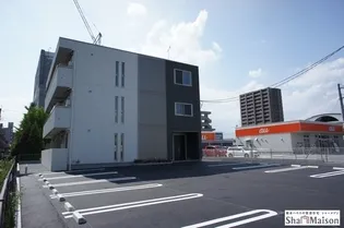 STELLAの画像