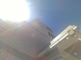 広島県広島市西区大芝1【マンション】の外観