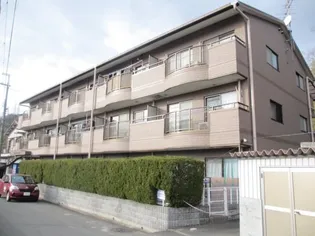 チェリーコート【3階】の外観