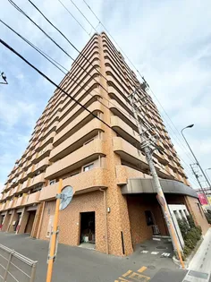 ネオハイツ高砂駅東の画像