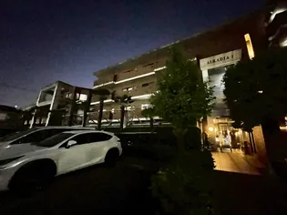 アルカディア 1の画像