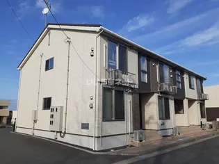 トライブBの画像