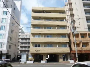 グレイス23の画像