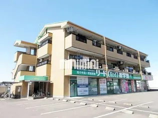 アリカビレッジの画像