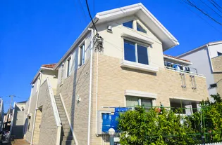 アルカネットの画像