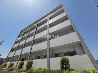 カトレア2の画像