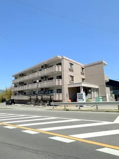 FORTUNAの画像