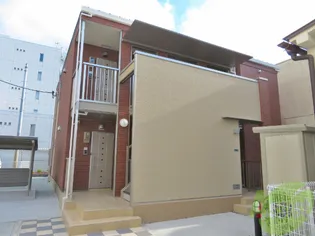 プラシードの画像