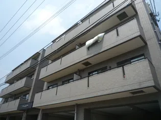 グレース高橋Dの画像