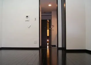 アヴァンティーク銀座2丁目参番館【6階】の内装