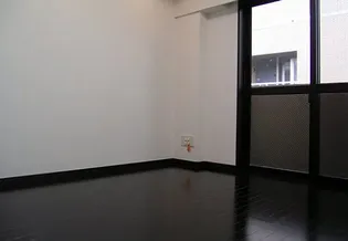 アヴァンティーク銀座2丁目参番館【6階】の居間