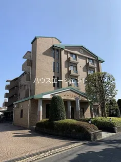 アムカスの画像