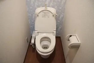 ウィルモアG A棟【2階】の内装