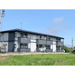 サープラスコスモスの画像