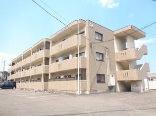 ベルリッツ金子の画像