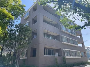 ファレノM Iの画像