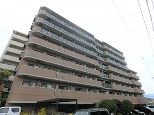 プランドールマサキ【8階】の外観