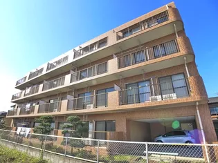 ノーブルナガシマの画像