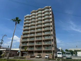 エクセラントメゾン与次郎IIの画像