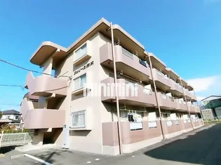 フェリース鈴木の画像