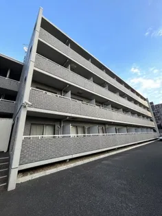 C'S 17 INOUEの画像