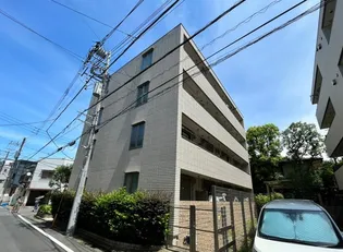 FELICIA しまむらの画像