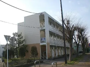 彩IIの画像