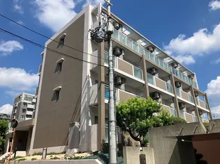 グリーンコーポYAYOI【4階】の外観