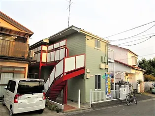 マリポーサの画像