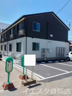 SHAMROCK1の画像