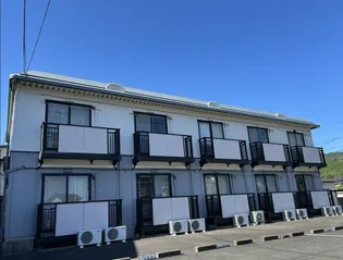 サンガーデンアプリコットの画像