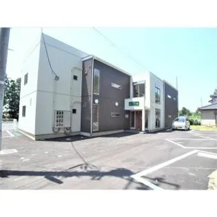 オリーブの画像