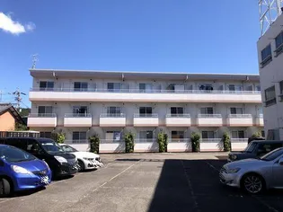 メゾン・アンジュ【1階】の外観