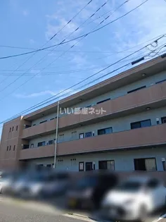 新潟県新潟市西区寺尾西5【マンション】の外観