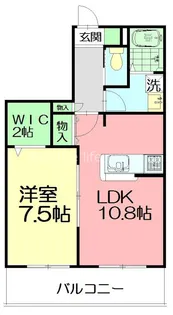 神奈川県茅ヶ崎市代官町【マンション】の間取り