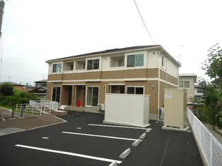 フラット コスモスの画像