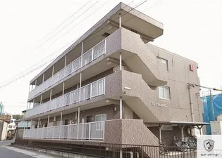 ミレニアムの画像