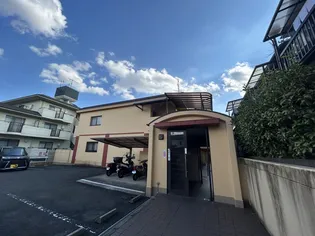 パラシオン蘭の画像