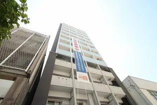 GRACE HILLSの画像