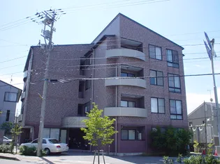 ビダ ボスカジの画像