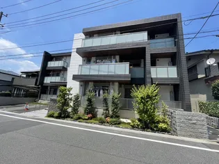 WISTERIA NISHIARAIの画像