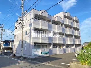 ニューリタンスの画像