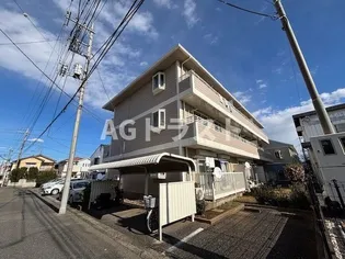 埼玉県さいたま市見沼区丸ヶ崎町【アパート】の外観