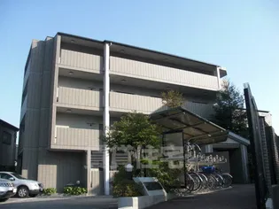 セコイア山本の画像