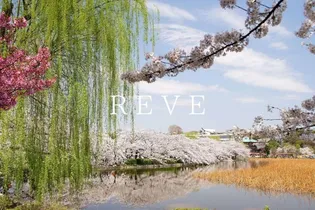 ジェイファーストチヨダ【7階】の周辺